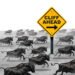 Speculative Provide Chains | EI Weblog