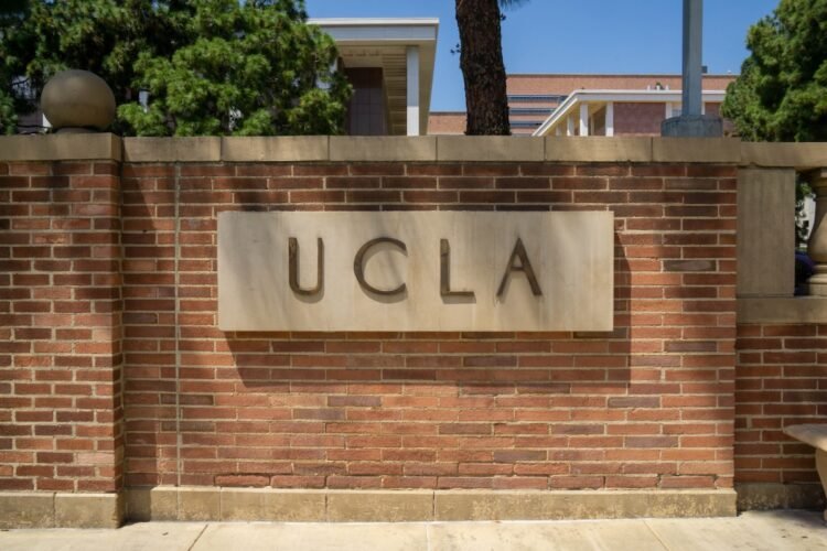 Berkeley, UCLA, Ohio State Amongst 24 Faculties With No AI Admissions Coverage, Report Finds