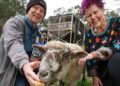 Selby residence goes to public sale with a disclosed reserve and a pet sheep