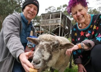 Selby residence goes to public sale with a disclosed reserve and a pet sheep