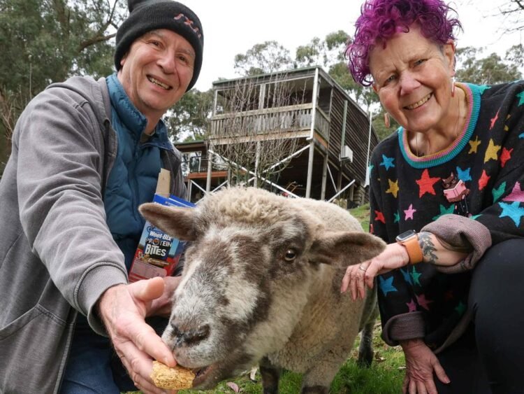 Selby residence goes to public sale with a disclosed reserve and a pet sheep