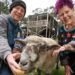 Selby residence goes to public sale with a disclosed reserve and a pet sheep