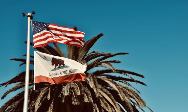 A free-market think-tank says California’s insurance coverage repair is working