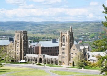 Cornell Needs Admissions To Reward ‘Sufficient’ As a substitute Of ‘The Greatest’ — And Blames The Widespread App