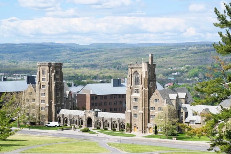Cornell Needs Admissions To Reward ‘Sufficient’ As a substitute Of ‘The Greatest’ — And Blames The Widespread App