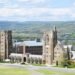 Cornell Needs Admissions To Reward ‘Sufficient’ As a substitute Of ‘The Greatest’ — And Blames The Widespread App
