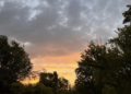 Week 35: A Peek Into This Previous Week (plus what I am studying, watching, and listening to)