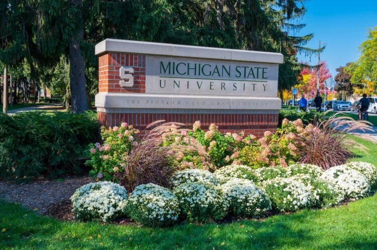 Why Schools Increase Tuition: 446 Faculties Clarify Worth Hikes