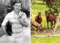Melbourne Cup bookmaker Mark Learn lists $3.95m Gilderoy property as he eyes Noosa retirement