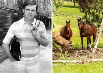 Melbourne Cup bookmaker Mark Learn lists $3.95m Gilderoy property as he eyes Noosa retirement