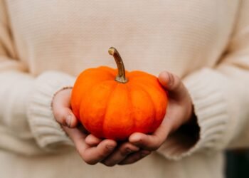 October thirty first: Greatest Freebies, Reductions, and Offers for 2026