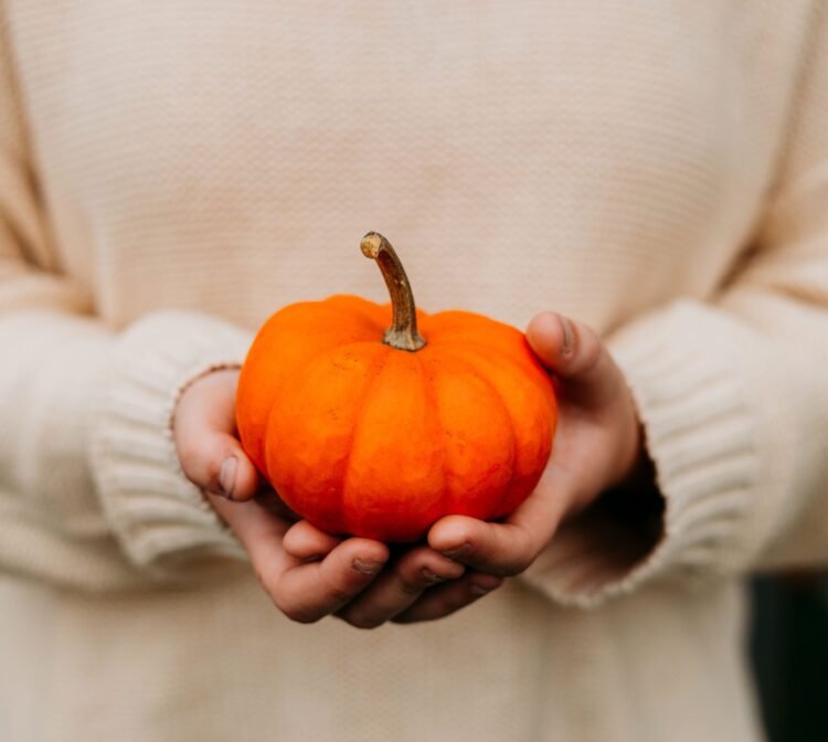 October thirty first: Greatest Freebies, Reductions, and Offers for 2026